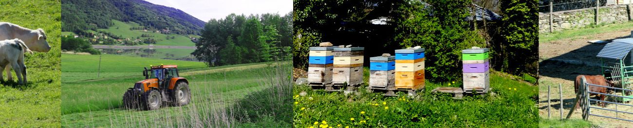 Bandeau - Agriculture