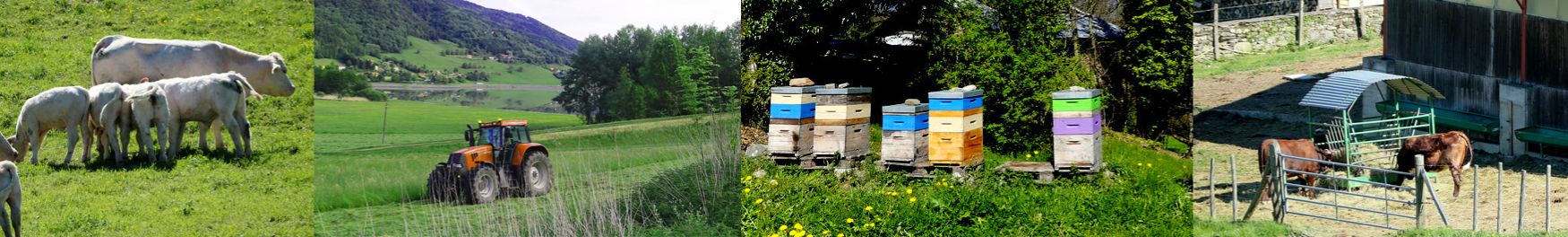 Bandeau - Agriculture