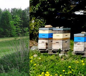 Bandeau - Agriculture