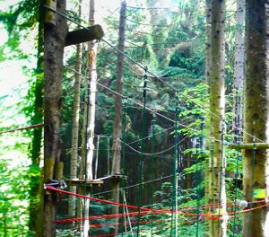 Bandeau - Accrobranche