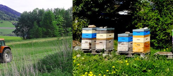 Bandeau - Agriculture