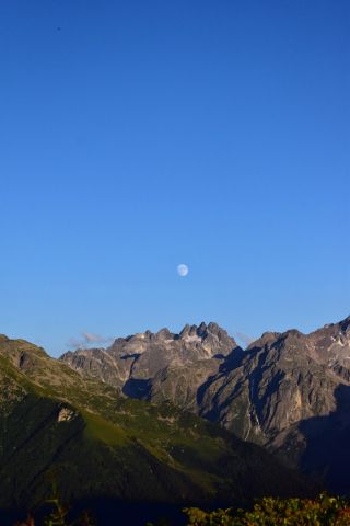 BOURDIAU_Fantine_Collèges_Nature_2022-1er