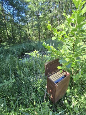 Fiches informatives marais de sailles