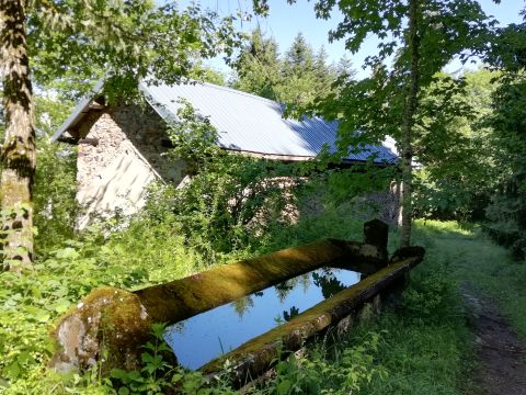 LABBE_Nicole_Adulte_Patrimoine_2022-1er