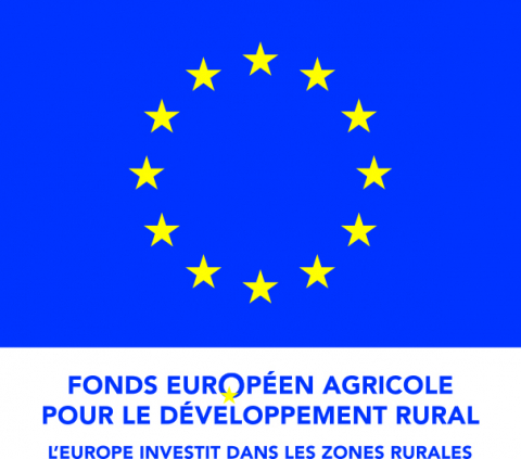 Logo_UE_FEADER
