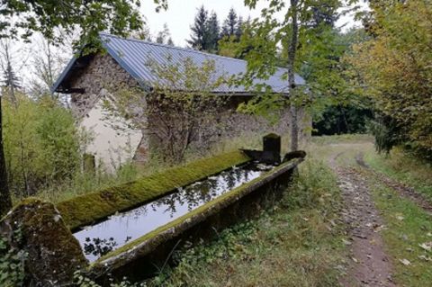 Pidoux Maud