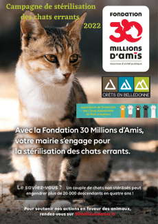 Affiche campagne de stérilisation des chats errants à Crêts en Belledonne