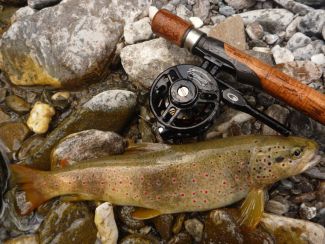 Ouverture de la pêche à la truite 