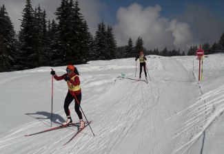 Ski de fond skating